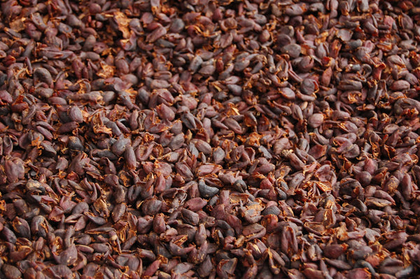 Abakundakawa Rushashi - Ishema youth farmer group lot - washed (BIO) - Rwanda π·πΌ