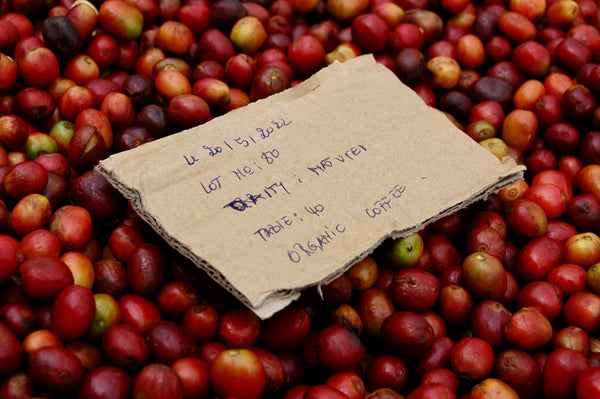Abakundakawa Rushashi - Rutabo village lot - natural (BIO) - Rwanda π·πΌ