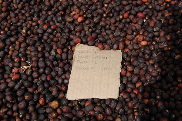 Abakundakawa Rushashi - Ishema youth farmer group lot - washed (BIO) - Rwanda π·πΌ