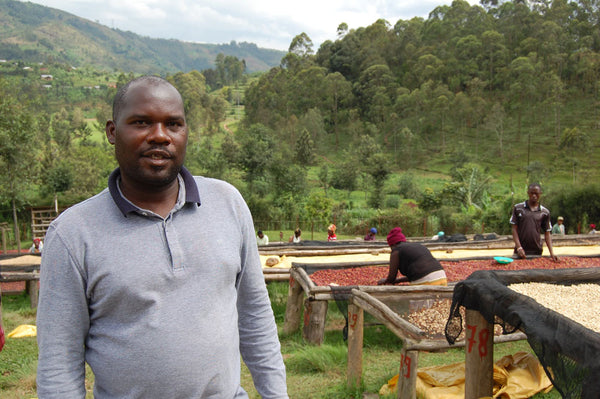 Abakundakawa Rushashi - Rutabo village lot - natural (BIO) - Rwanda π·πΌ