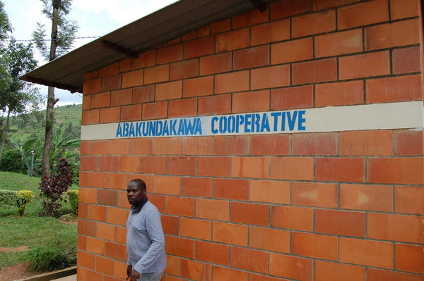 Abakundakawa Rushashi - Rutabo village lot - natural (BIO) - Rwanda π·πΌ