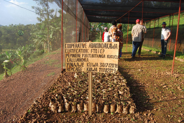 Abakundakawa Rushashi - Ishema youth farmer group lot - washed (BIO) - Rwanda π·πΌ